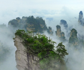 Image du film Wild Asia