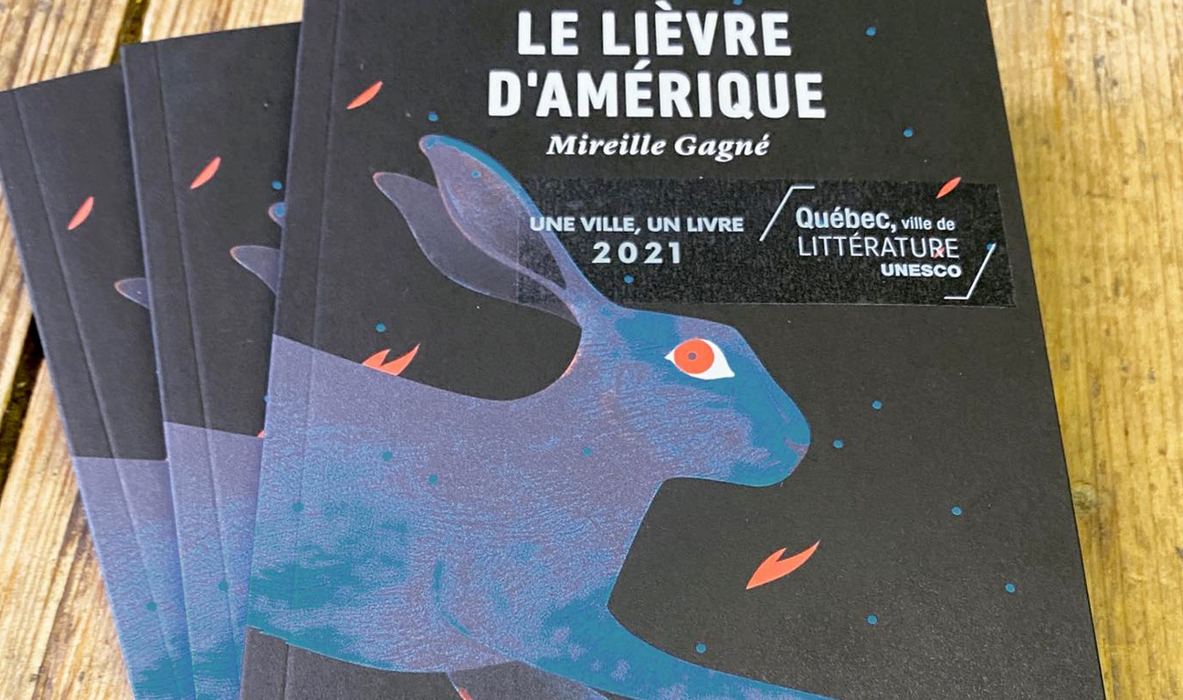 Le lièvre d'Amérique