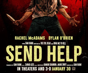 Affiche du film Send Help