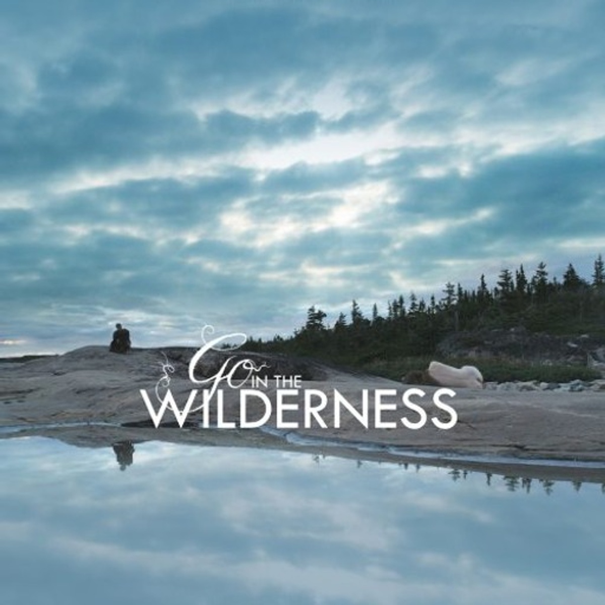 Image du film Go in the Wilderness