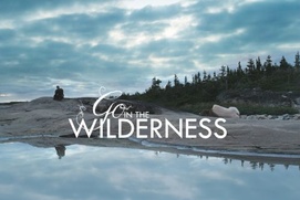 Image du film Go in the Wilderness