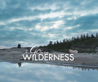 Image du film Go in the Wilderness