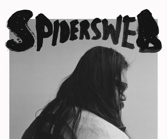 Image du film Spider Web