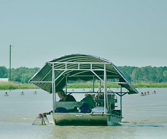 Image du film Pointe noire