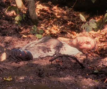Image du film Cauchemar conseil