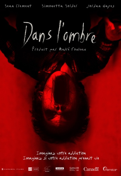 Affiche du film Dans l'ombre