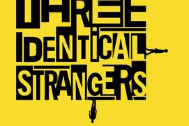 Affiche du film Three Identical Strangers