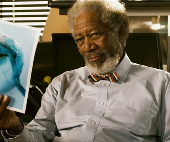 Une scène du film Dolphin Tale