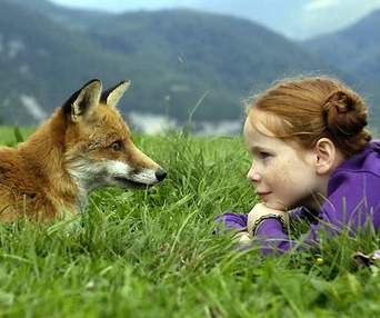 Scène du film Le renard et l'enfant