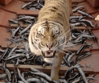 Une scène du film Life of Pi
