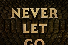 Affiche du film Never Let Go Affiche du film Never Let Go