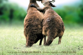 Affiche du film Les animaux amoureux