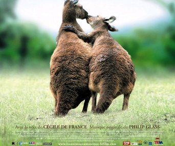 Affiche du film Les animaux amoureux