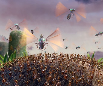 Scène du film Le tyran des fourmis