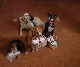 Scène du film Daniel et les Superdogs