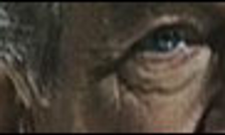 Bande-annonce : X-men : The Last Stand