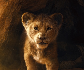 Affiche du film The Lion King