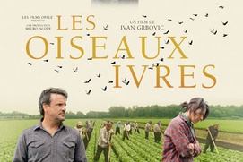 Affiche du film Les oiseaux ivres