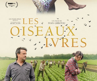 Affiche du film Les oiseaux ivres