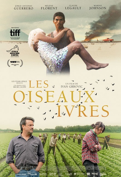 Affiche du film Les oiseaux ivres