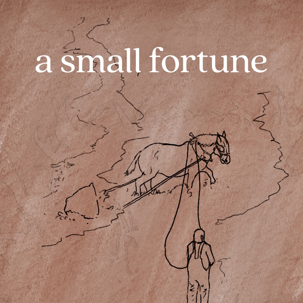 Affiche du film A Small Fortune