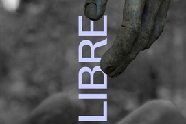 Affiche du film Libre