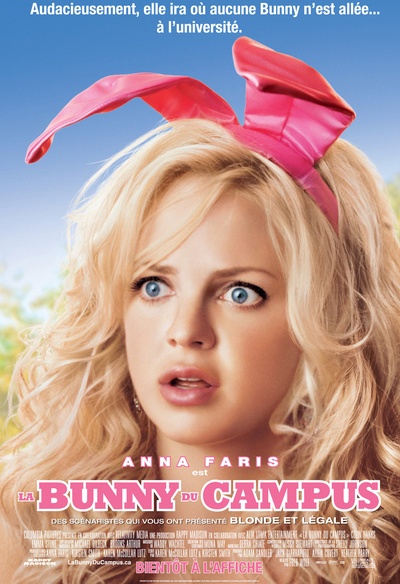Affiche du film La bunny du campus