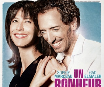 Affiche du film Un bonheur n'arrive jamais seul