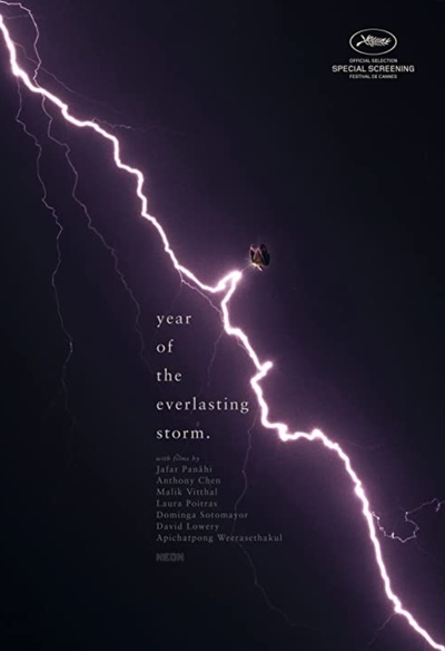 Affiche du film The Year of the Everlasting Storm