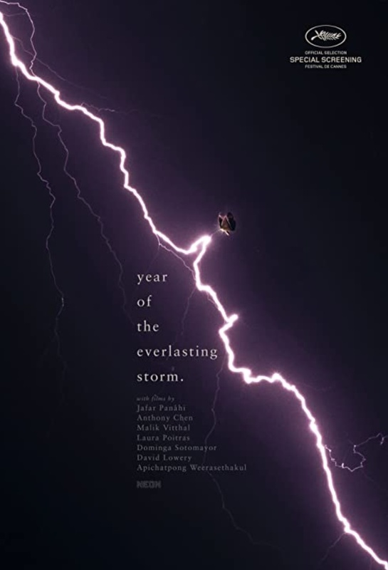 Affiche du film The Year of the Everlasting Storm