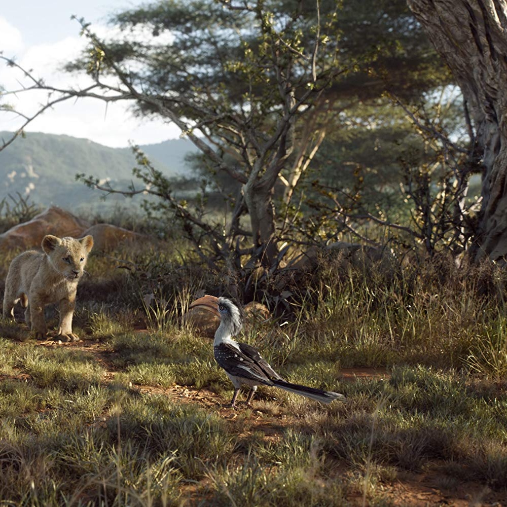 Une scène du film The Lion King