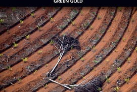 Affiche du film L'or vert