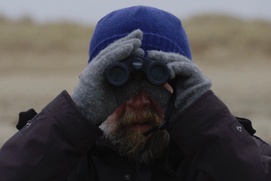 Une scène du film Canards errants