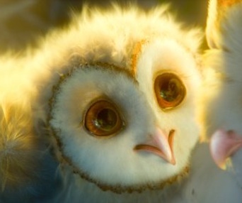 Une scène du film Legend of the Guardians: The Owls of Ga'Hoole