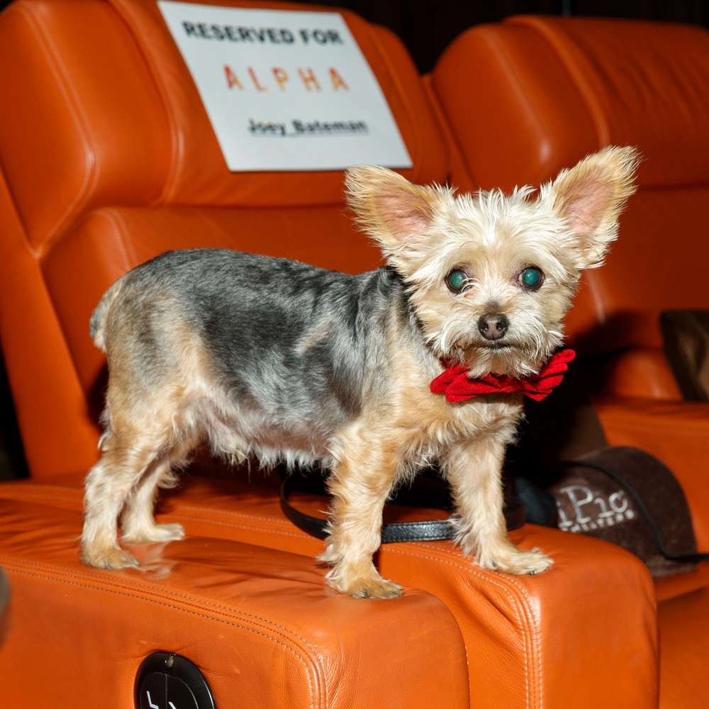 Première du film Alpha à Los Angeles
