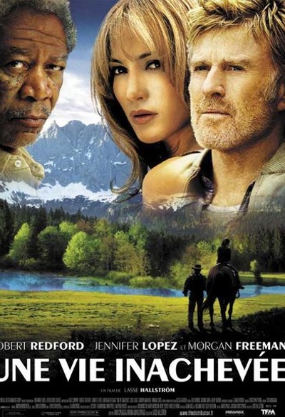 Affiche du film Une vie inachevée