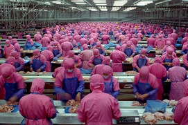 Une scène du film Samsara