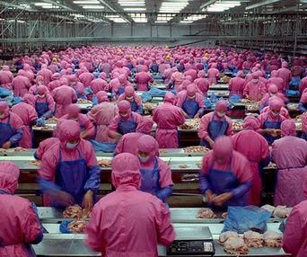 Une scène du film Samsara