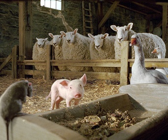 Scène du film Le petit monde de Charlotte