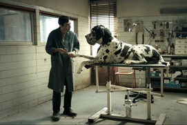 Une scène du film Dogman