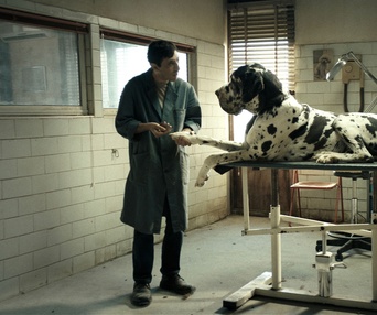 Une scène du film Dogman