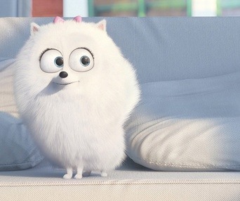 Une scène du film The Secret Life of Pets