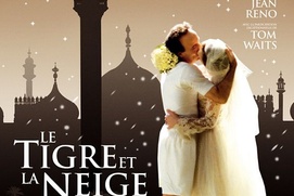 Affiche du film Le tigre et la neige