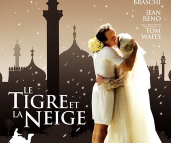Affiche du film Le tigre et la neige