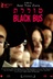 Affiche du film Black Bus