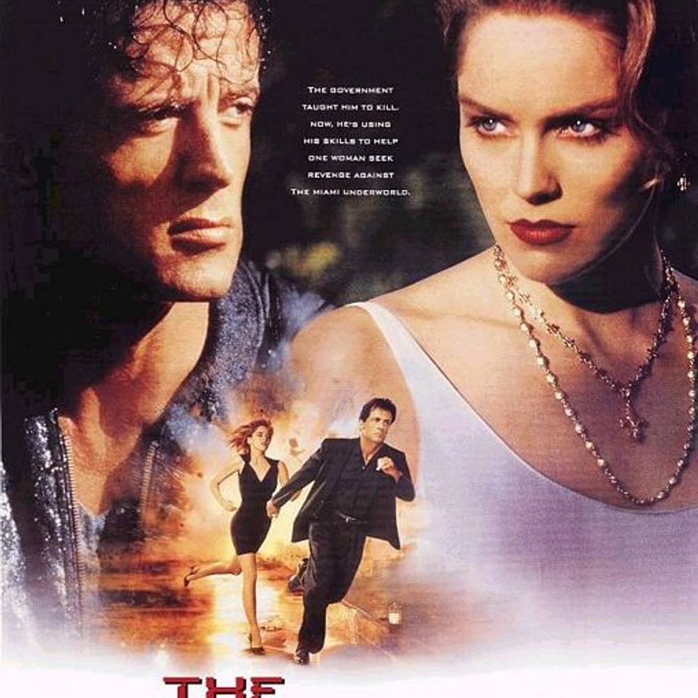 Affiche du film The Specialist