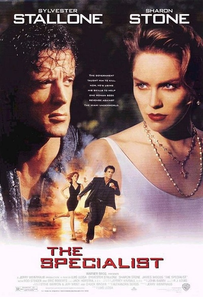 Affiche du film The Specialist