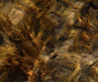 Image du film Archéologie de la lumière