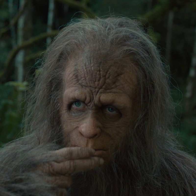 Une scène du film Sasquatch Sunset