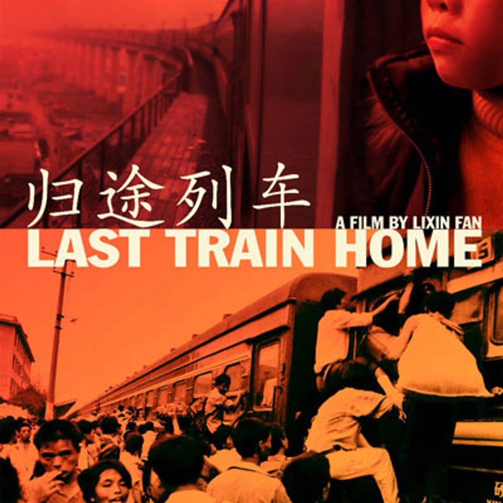 Affiche du film Last Train Home